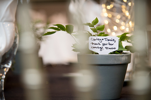 010 - S&S Wedding