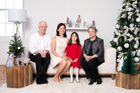Family Christmas Photos