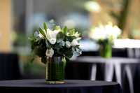 Celebration of Dr. Tirone David